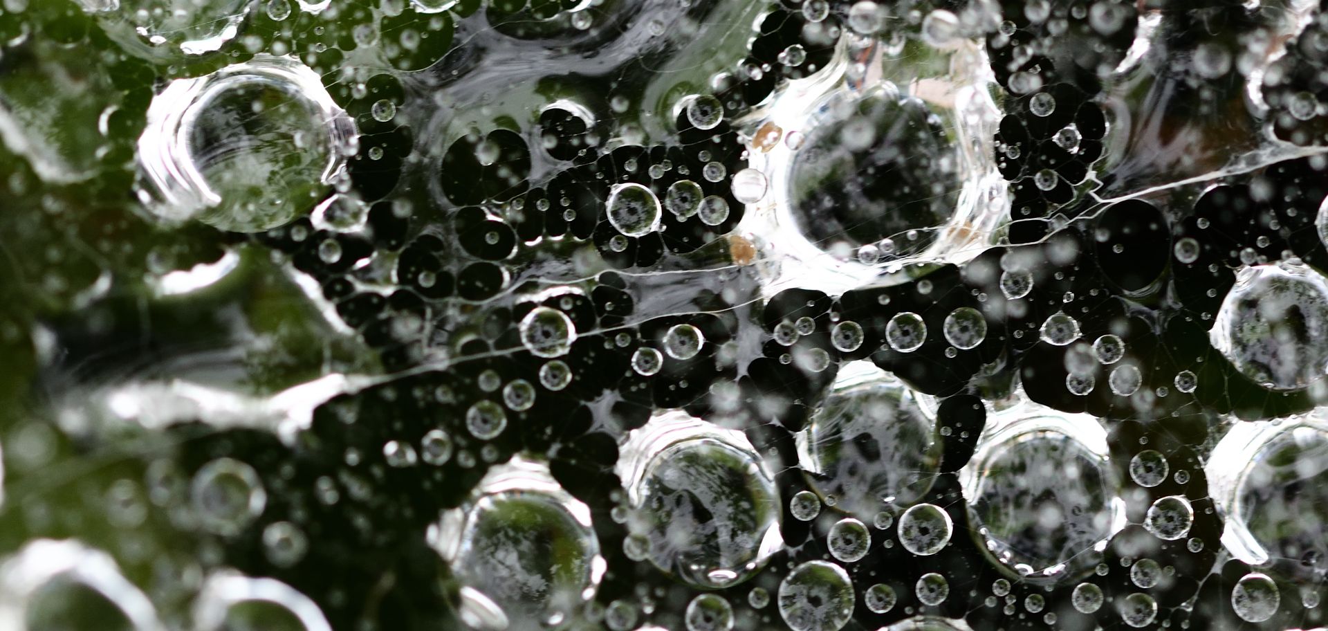 Macro study